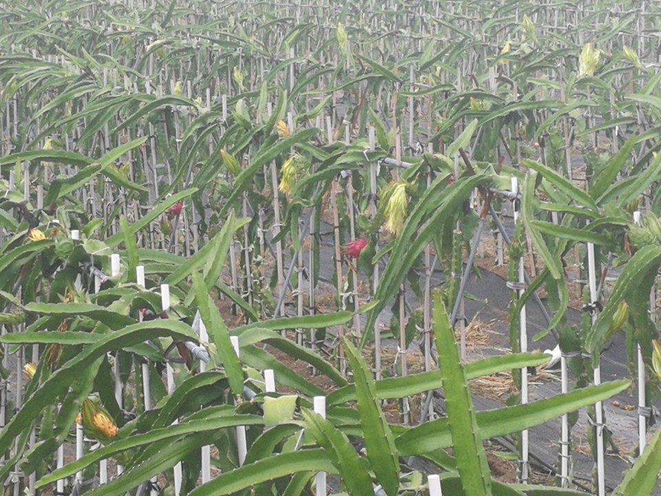 JiY-KWBW1eK-YOiauVYLVjBqI0Iy8BalrRGo7i142QKhrp3FpNsXbwOji8uLgKSm