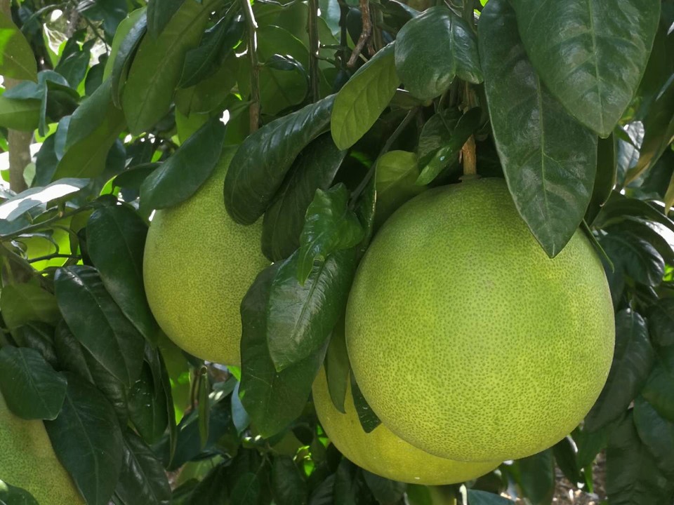 1rJi2zEDwmmNc8a6WTVNIpRNVnM9KVl-deXQz2NwPCrknGTQrINAXOHV4j_dSJ3M