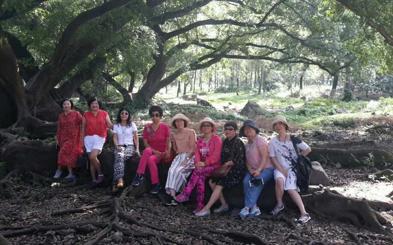 8oemLVkeQssR5P5ZWPJFg0raz1aj5SPXwwmO6GzFLoPTPCGx2LcLMYBtDkwhphiA