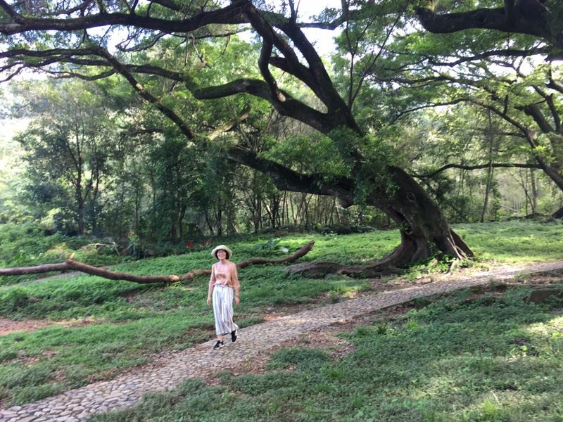 yhSwu5A25Ik2KL9Ndw-cvxHyWPhN6Apwv7qFOEzUBwhGahTqIyp-9pYxIny8oRBD