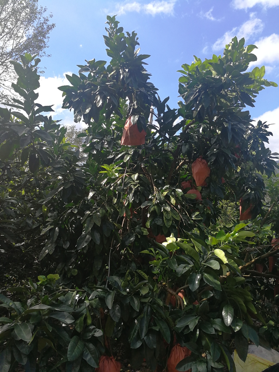 WiTeZ-ZFkbVZ4jkESukeJr4FsZeaoEUE1jnkDT8rLYRo8zhN4b90d8IJtFnPbZwi