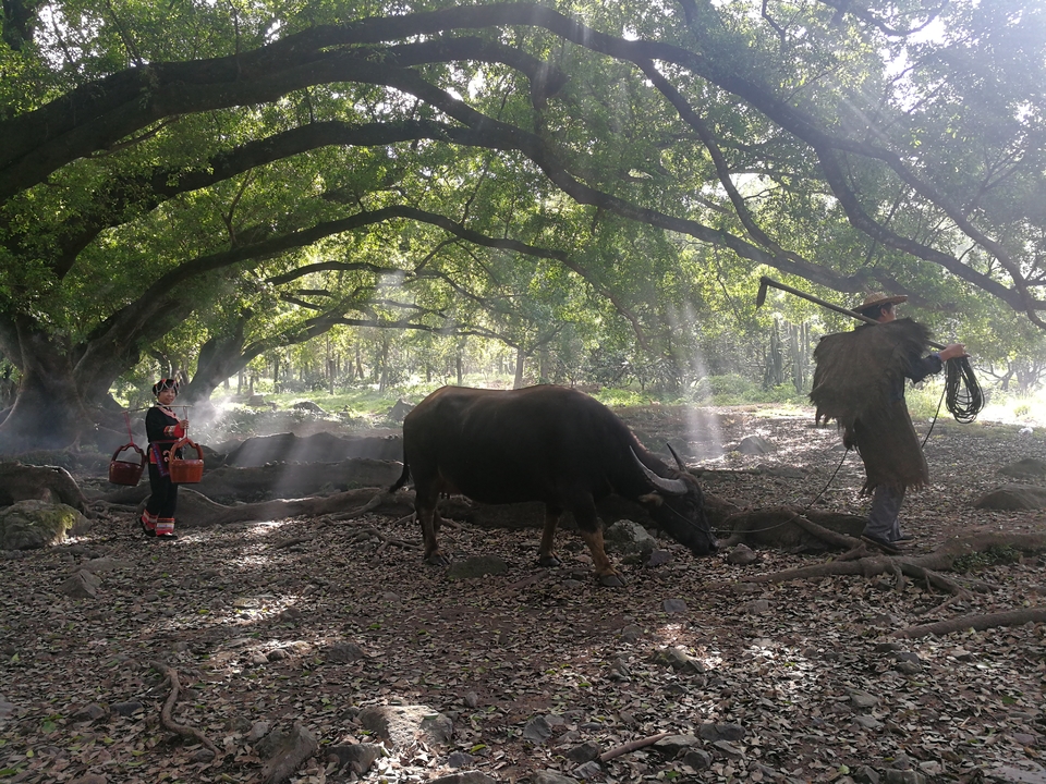 7OxLPy17D_-8YM6M5hiZSEukPQdjj0ipHydflPwhMqG2dZ5NPOlccMkLxE1u4HS7