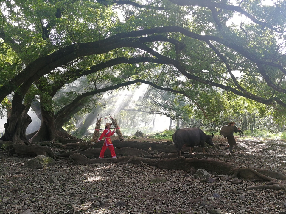 mb-s2vYcO4fdkzdoK4ueI4g-daufj00yjbuFk9vg6j2ffwNU3bZaYonwPkRovu08