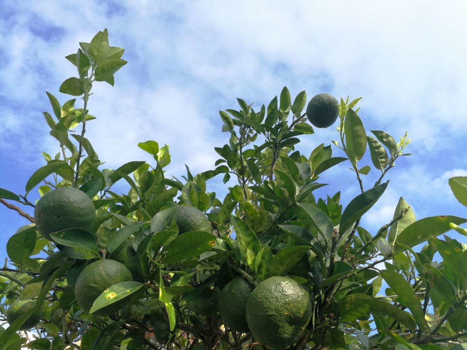 yv-6rzOF_w1GkcGJ6cCM8y5ujP3_9N56whWtIe8KbXOuCmYAQYA0UEa23dAJ84Dk