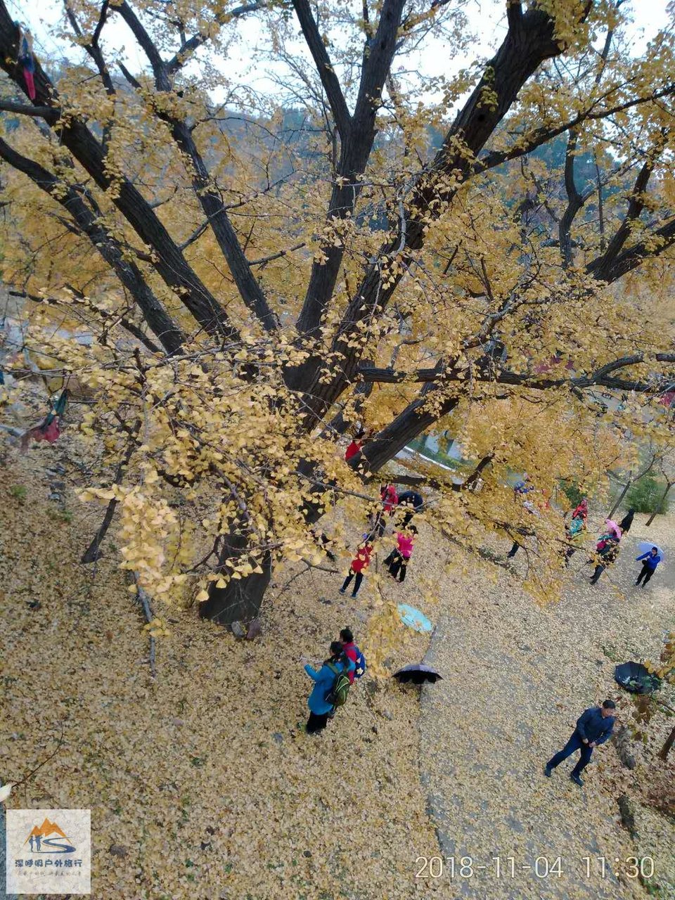 r_9uE_7gupKgkiGeM43QRkf71KEvDMr1b9-53AbiEA2BCYVlYUNeVFoAoCkcHc7b