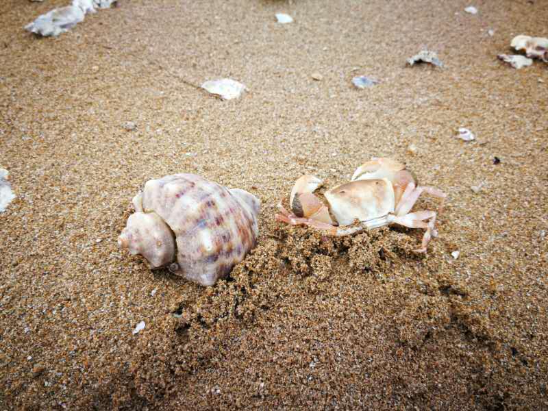 BgODGvnBvAISfDMDsnY7dRaa6DbEFZ2tiOboEFo1-BvDZ-_BWmRvPd6UEhsJUkZ4