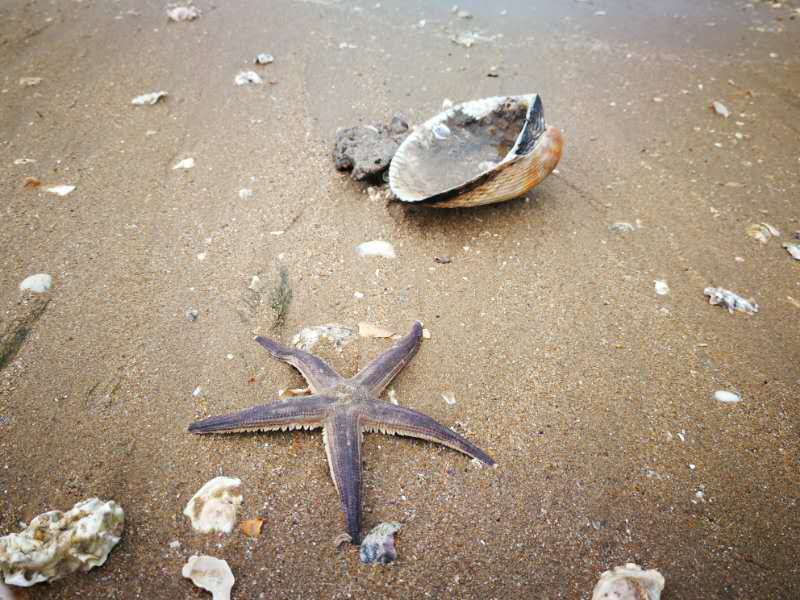 zBoEoALYYlfexNqwM06PTc8--iKB3YRONswa_uoVvPGohQ1wB04iaqJfx3wWJFSX