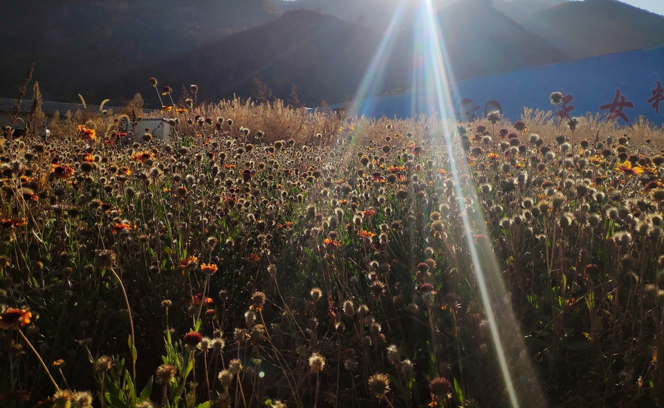 2RIaFu148gsar2dMJ9lxXmH0Bn0o_mdBun5tDsiVttUwICrt4myCDQwy2BFrReMd