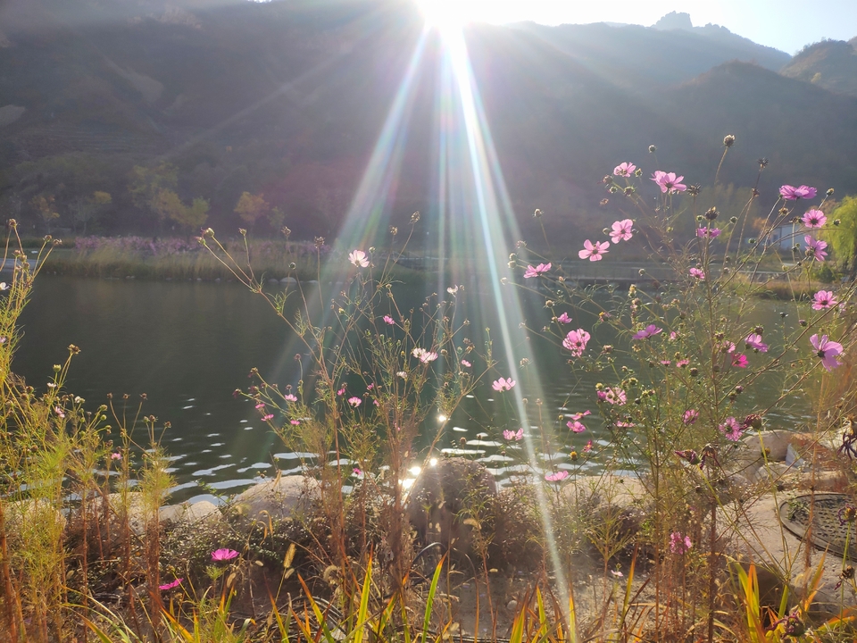 wMvtZFkd4EEwmAQTjqnxwkJaNI6qj2lECan7p7xWAa05miVqrpua2b5uTLpQ-CNw