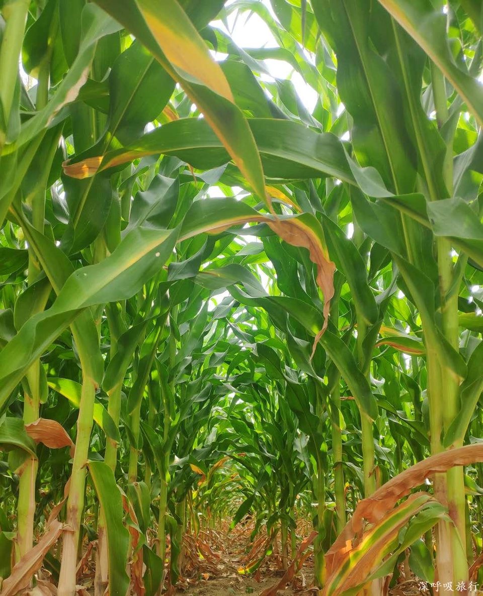 0pa8N5_I7fRIGfi84OZfq0PjW3vSNORv86lz7k0peAG1kdKG39tlQ6v-xoTAYdyj