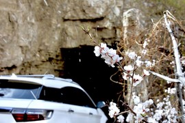 CVoMB23PX6tEsZt7hKCWYFTRLjwZRcdCX0WtWo4Cw79ZrboFPc0RtZS_g-hhYbO1