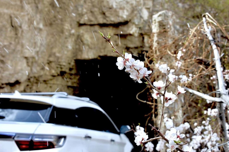 CVoMB23PX6tEsZt7hKCWYFTRLjwZRcdCX0WtWo4Cw79ZrboFPc0RtZS_g-hhYbO1