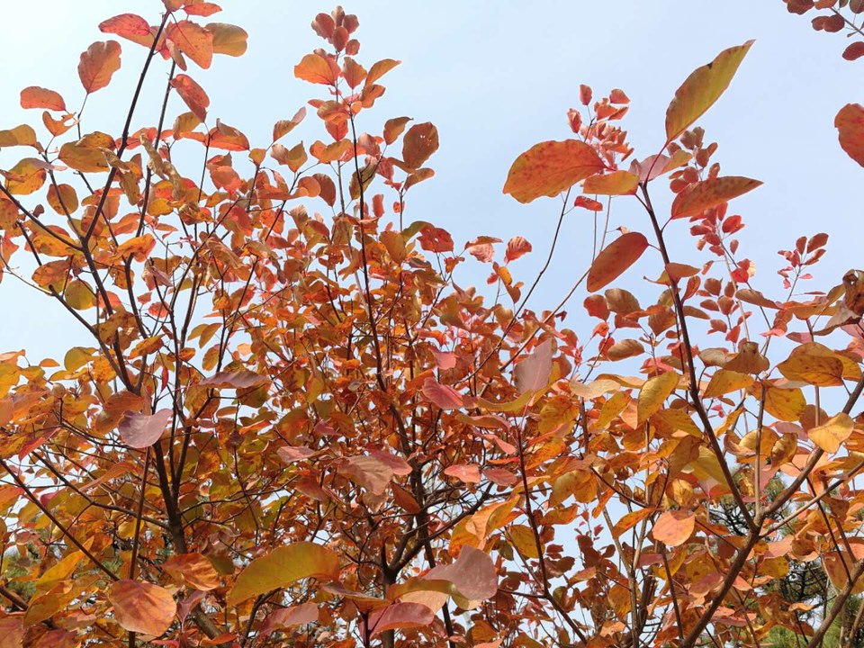 2UEFGgIi2cWxCRY6Xu1ZRfW6fR4MQy7yhdTIrJQf_MYiyhxLUppdkI0hG-1q3aDZ