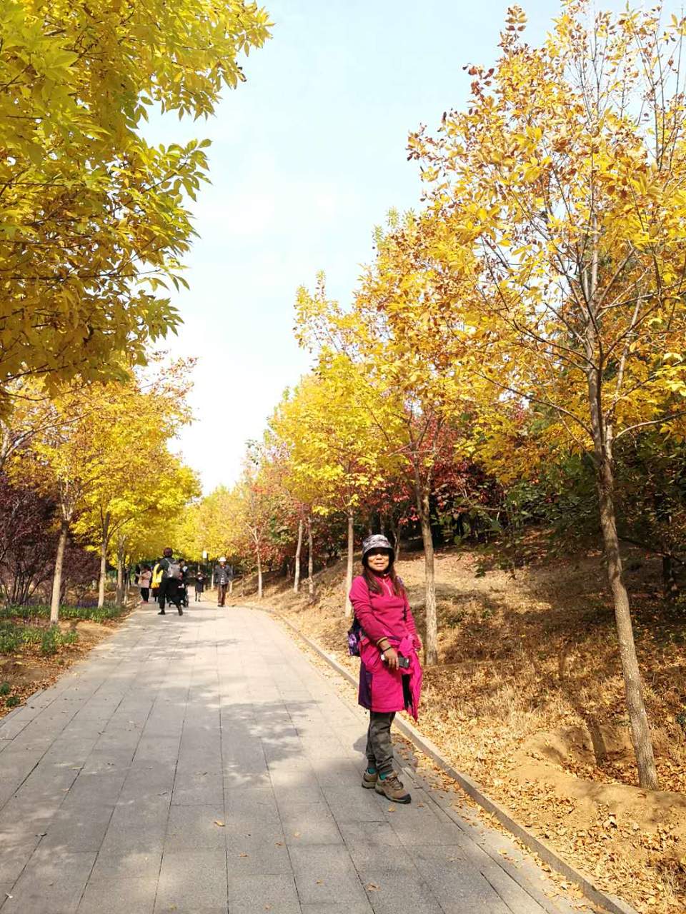 jYnf5Q8t_ejlTNmQ3ekIPM2eHFdOzF7wP62yjbfRT5xzqDDWtLmBLaPS8bxRcTZV