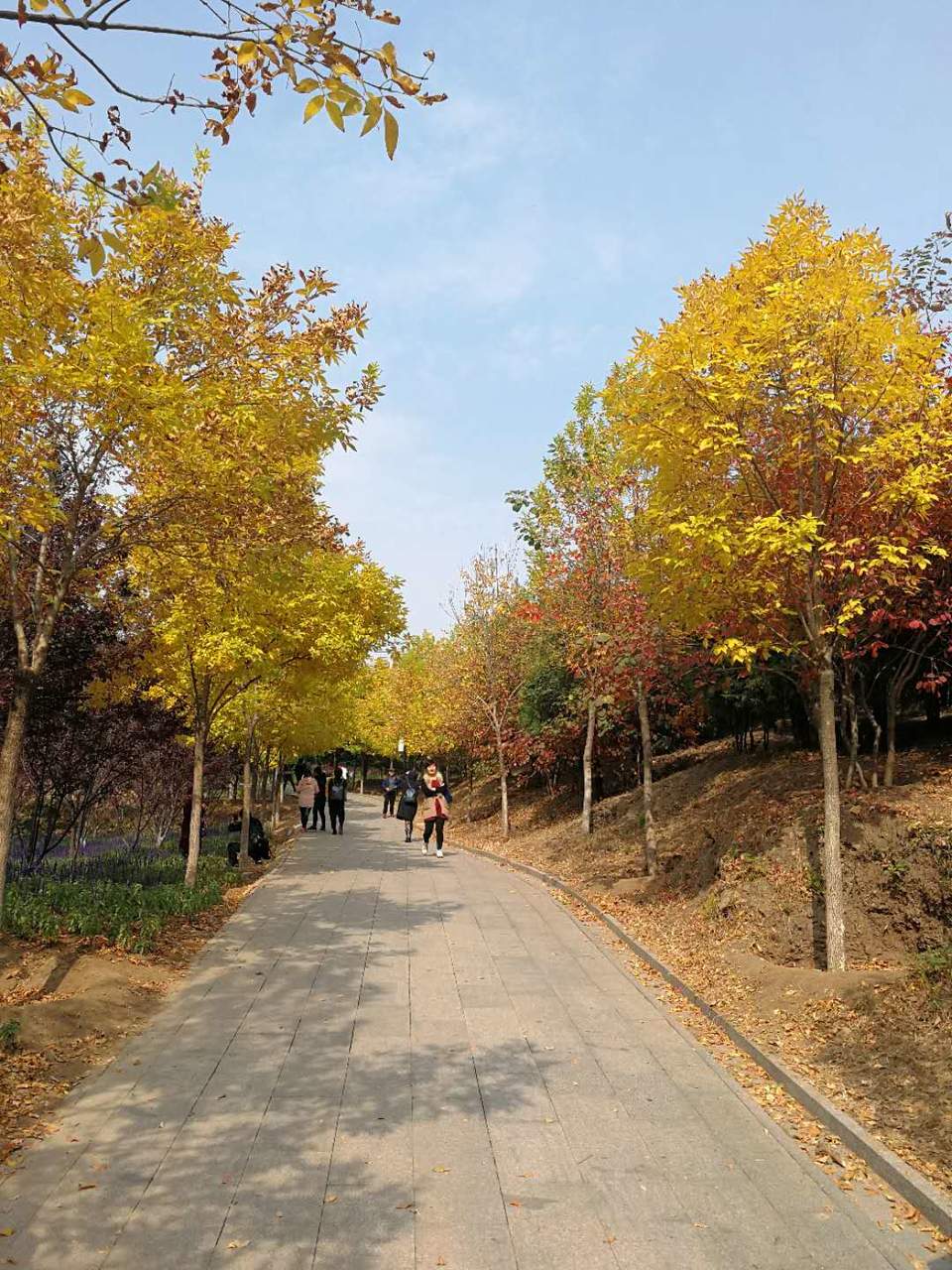 1WNOYheuAr1OQ6hu2xirfElnWFFo4JMeHZdYnvAUyYyetr5wpiyT1NrETpF4dQco