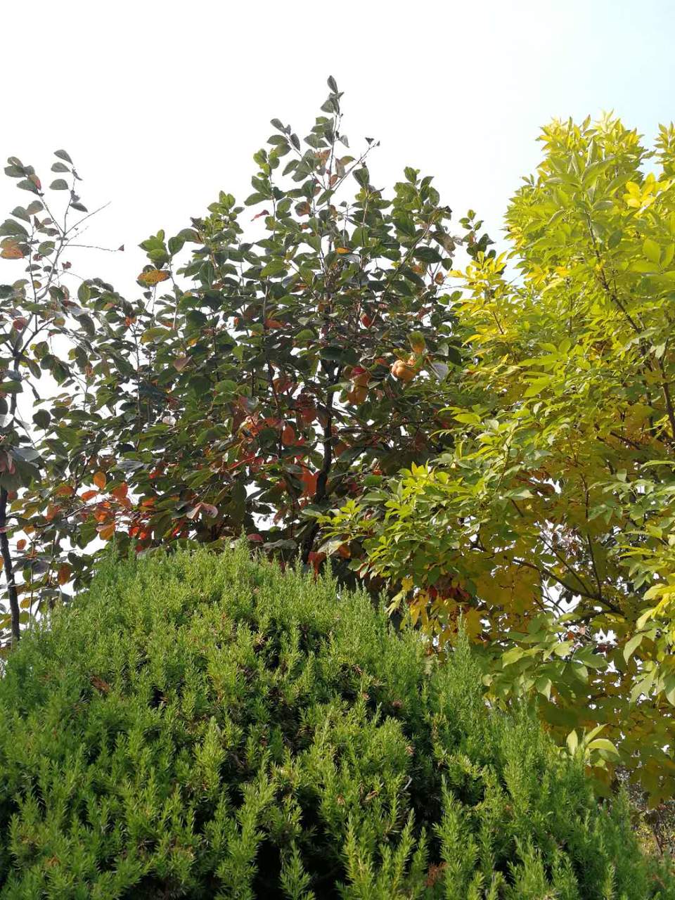 otPa2wii1nUjnVsX3s40GLunZScVx-eHadG1XmRsRtlj5QYlhS_sus9wjoBCU0Tt