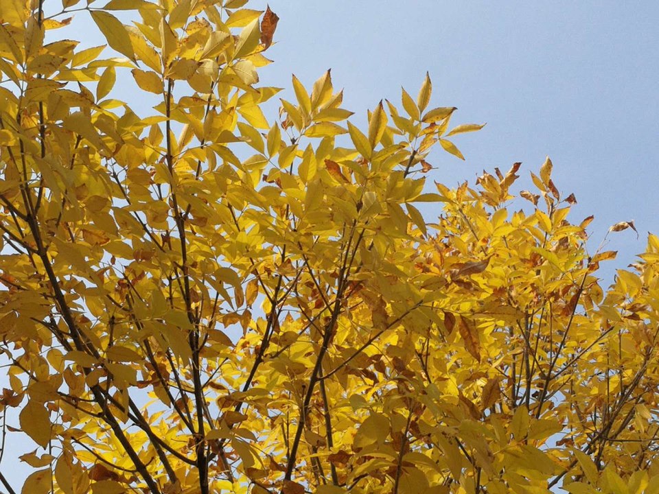 350-McsscsjeCAoaLMMOYeTIy0dm_TYKF2FpHXgrqQlnnGWYVIrxBynWojGApE39