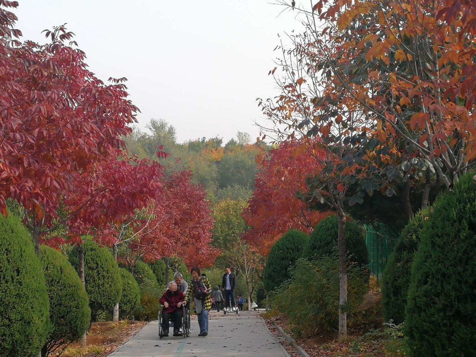 uCW0h-zj-v6h8A7nH46M4R1XxwT7zL0GFZBFO7sY_FMM2S1OUjkLykqAdx3JGAlm