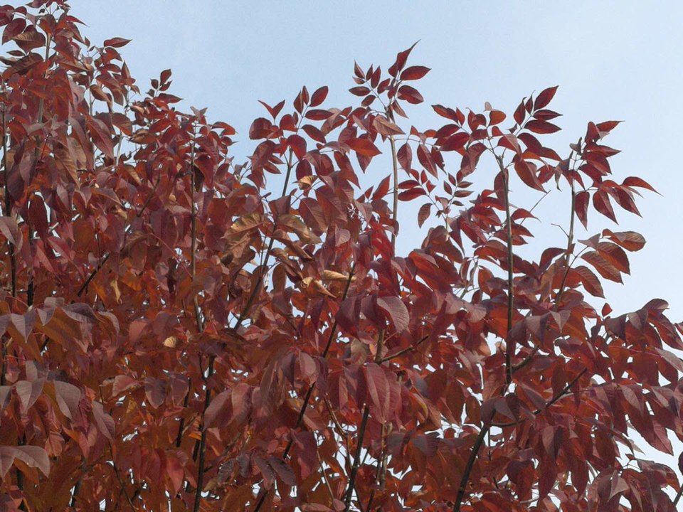 tk7J3NwHck1aC9W8ljZIHpeLQuDUeKhQFSUZbFEGZFZzIBPshv4EIetIJJiLloRM