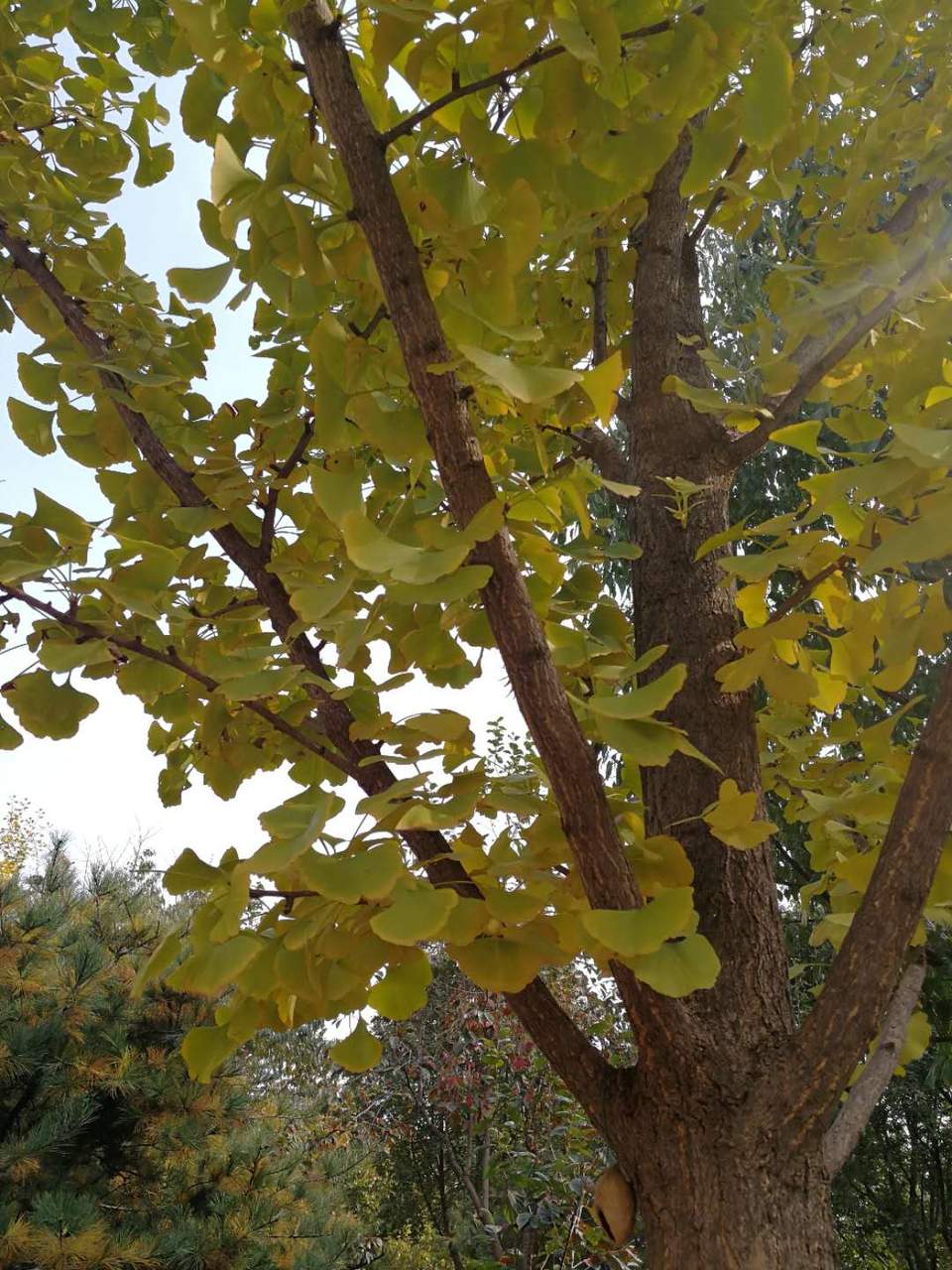 mK5G8ZqjHXLyyt7tdlXHAbt9wB0sWveDWQgsQl-OVZBcpW9MggJ4vEaTMv4XPVRd