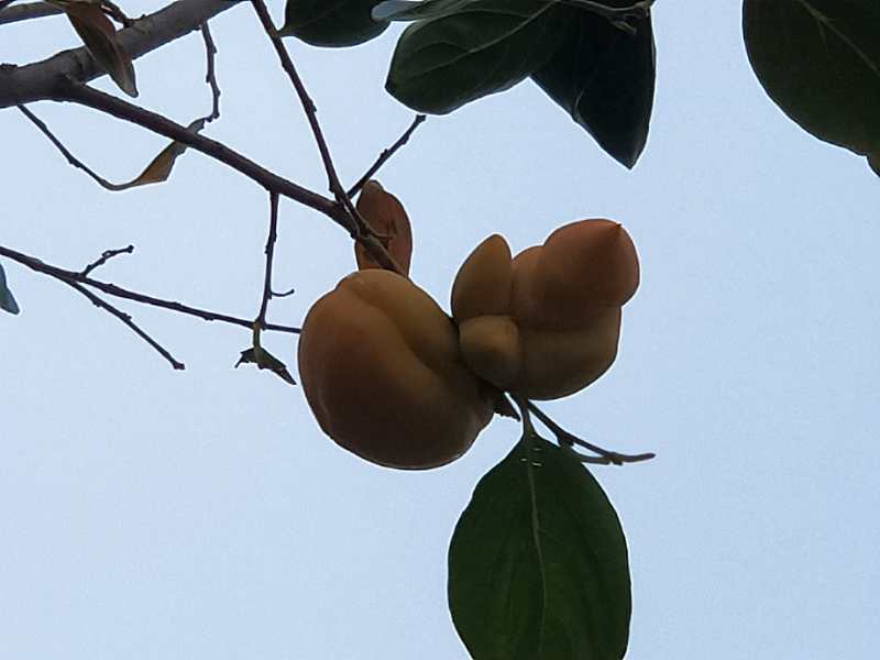 5fBW4kxkXqg0YC3dero204YJreJFmpR_jMORTmRWy40xOpgM_aqM8QTucp3BWBET