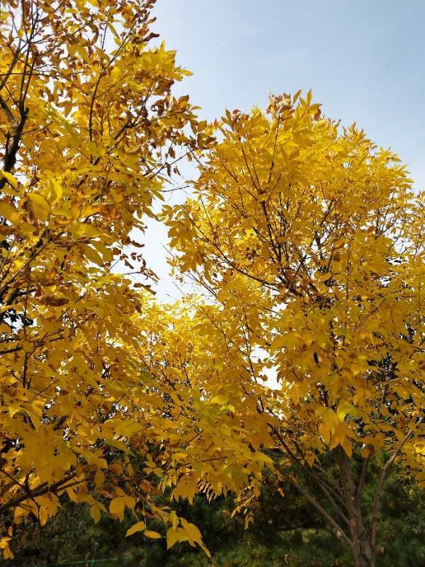 4u8_bjzbr3U8YYmXLih45F5HAZ17WCa_ZBZ749hVZByDmUjLoJNWWG5UG3i-GYxZ