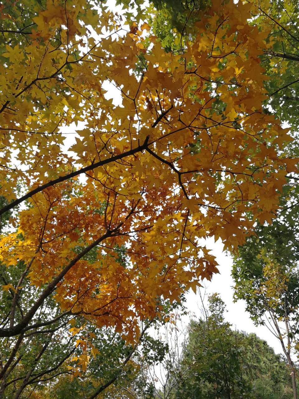 3zW1puRssplJ2pXHSPslkC2LF4oU3sM_1Q8RanSVS3QjjCxKVIT0XnQvDs0ZL-nW