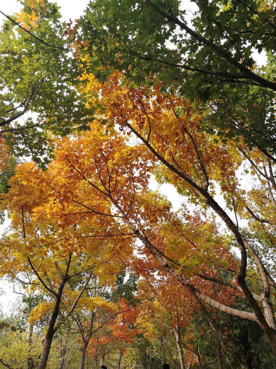 LLy7OD8-2F7HZWhqwlgrMZXUP4ReExxBGRflU2rZzIswDuKNS-E01guK78t_M1Gs