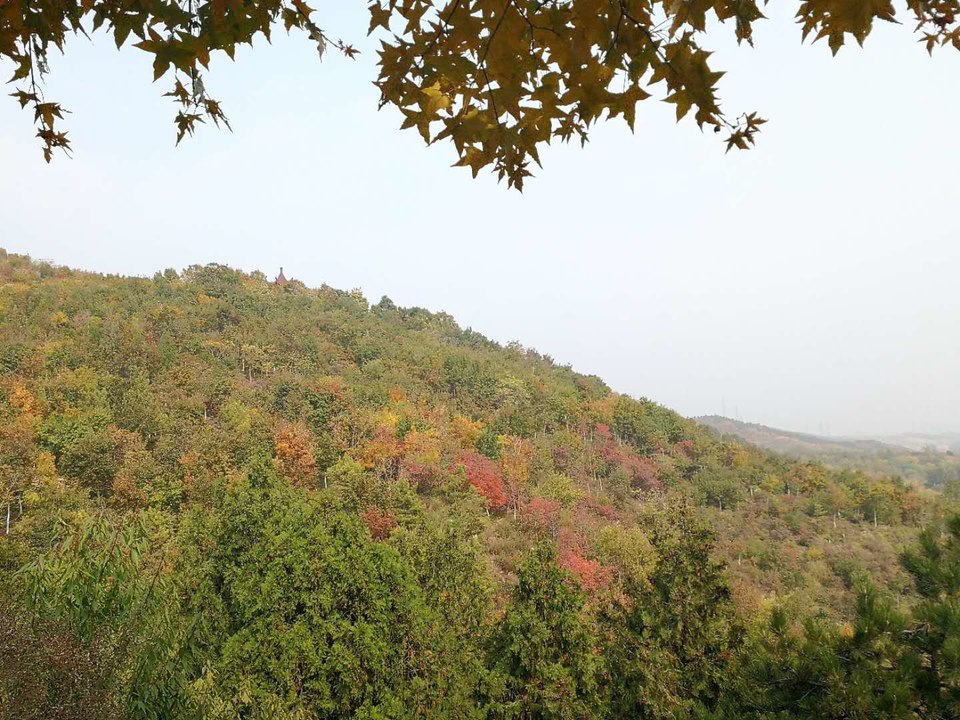 mRiNcn_92Zr4yfdLNAP9NjtOcNY8qDT0aYtHIFy5nX3kOEIGTWF8j4h6hgfx4nN4