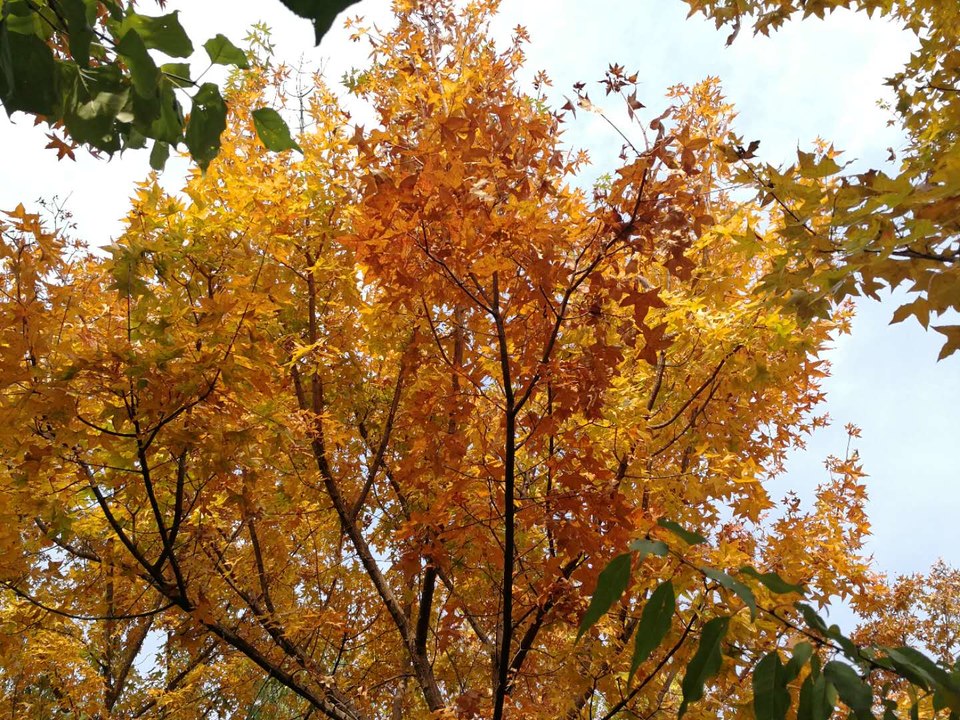 rwVlp48R7gFIiSkSzyyuqVy-QdbVP4kdYB-tTClGPH47UbCU9pMMK-Jd76ROzp6l