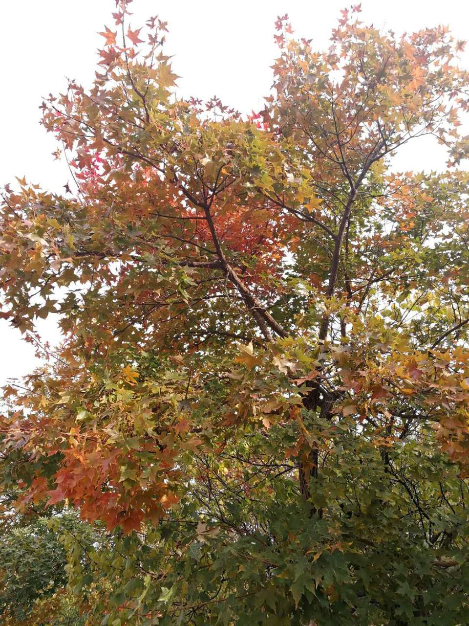 ieAveHPewjCLJrKEYq10YTwSPakntck5ug-GC4qk9HYBAIxLIZG4nNnw4gj1oWBS