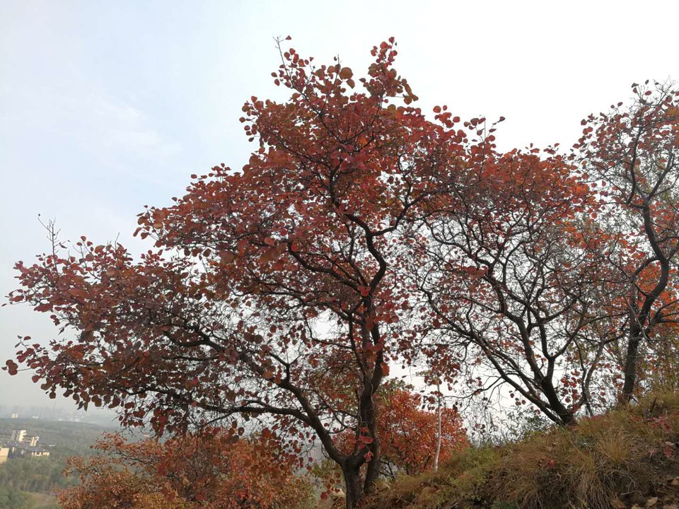 0dAoeO2rfGadJALQbFydZLrq1Xk0t_JGMmp17gCBXixi0nupUqKSp6_tQk90Dp1P