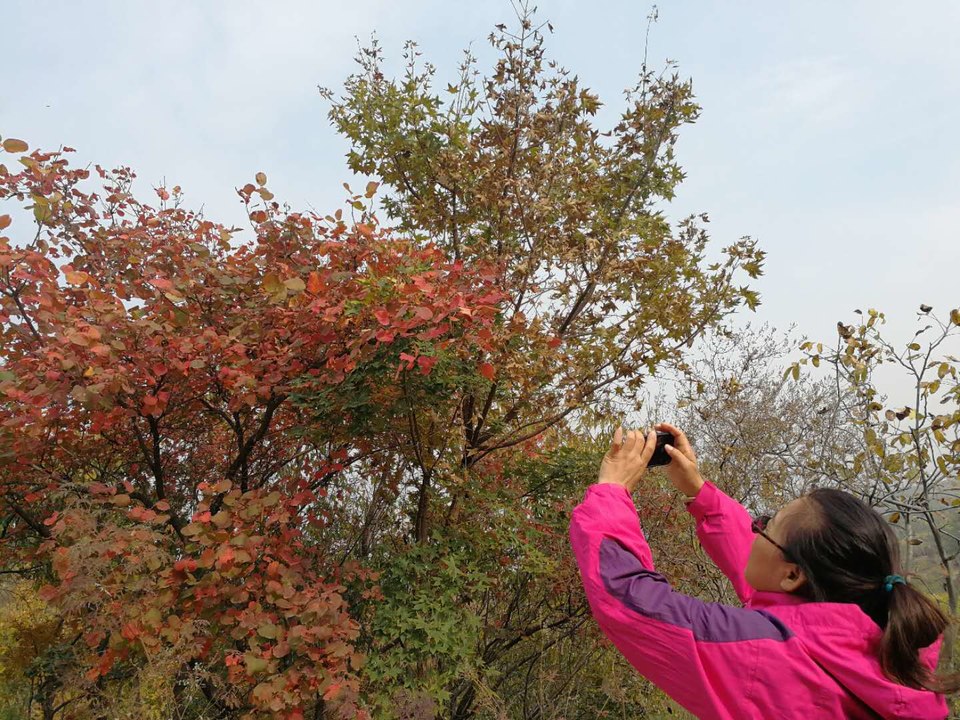 HKAs7mV9kmn3ys9cFtNHbI88fH0owL8E_CHhVTAQV2VQzzrrlVMc85bC2AtfFk0J