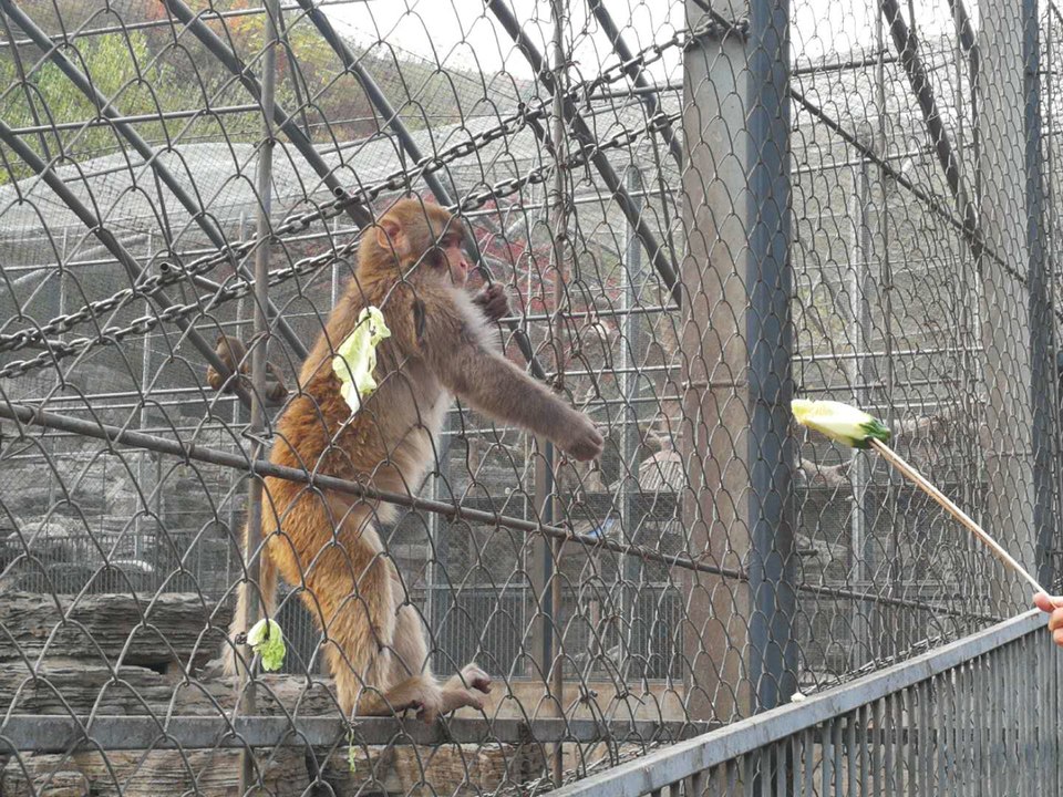 ppbimNTouSyix61h5f6jR5EKK7yi-267UWHG62WygYmeVxWlQJ1kIzR_0BQ0WI45