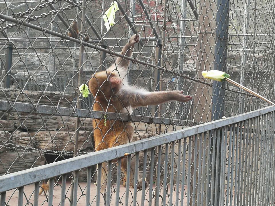 RB0Be0hXVpd-7070RE7HIrz_ujUPLdxi_lDlbroWYm4ddPZc3q2VHRQM_GDcK_uN