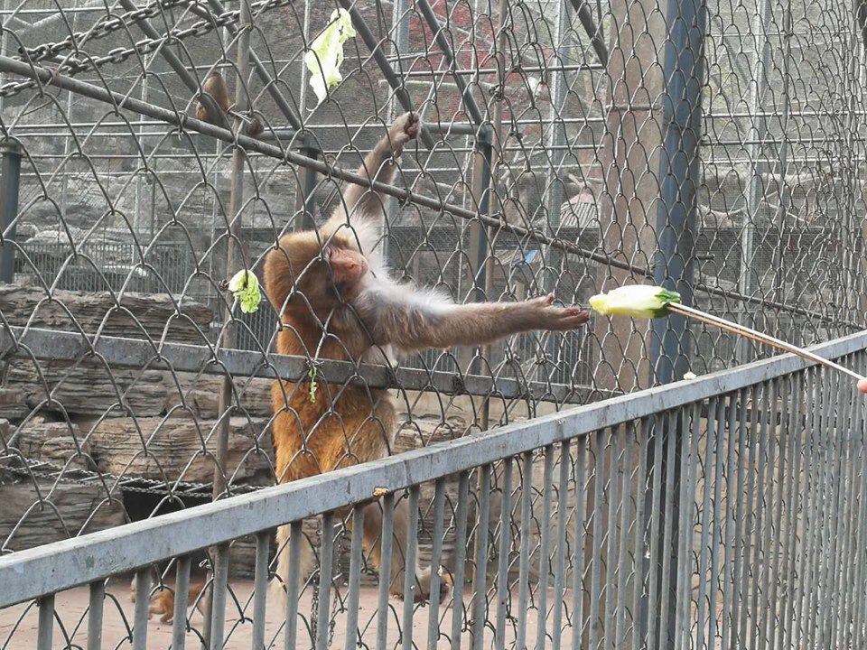 SPq7MkcrAP7GSFWbZlxy2ABwcvNqn8S3bVL7PG3atc6bcBnNJLfe5eos3kyIPglU