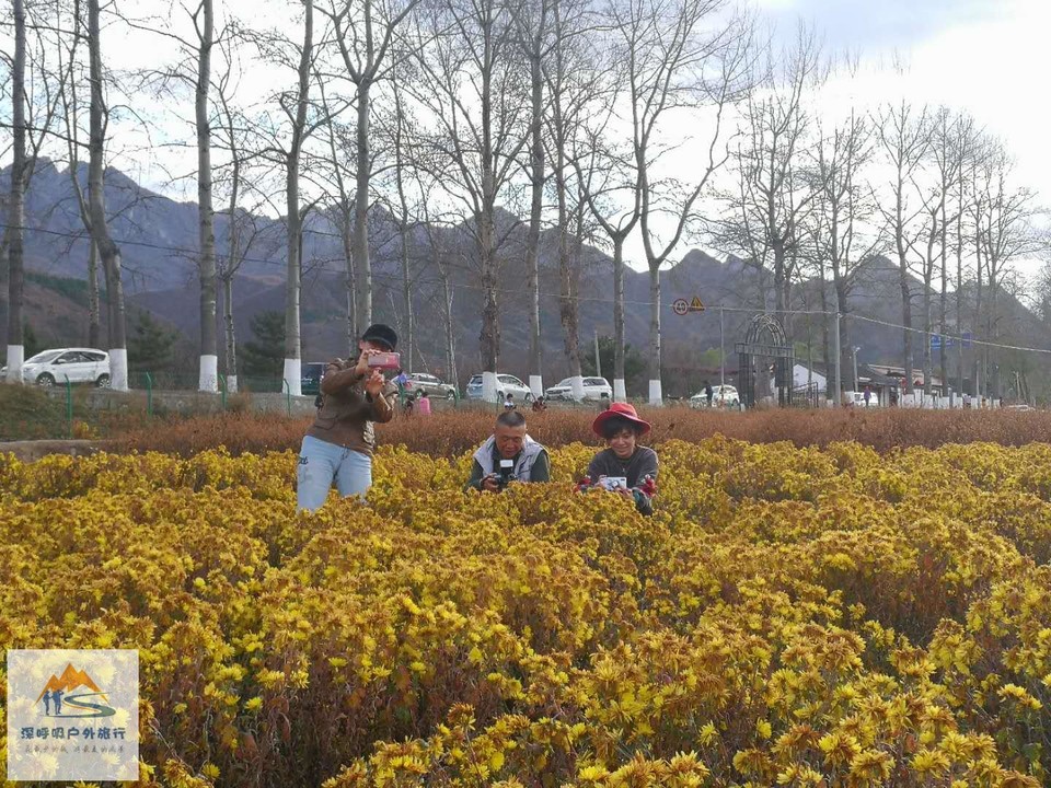 KVNh2JsQ-72HPYhPzdQTvcTCUqMk0-1BQKiZeIg1oydnh5oj1br_S4Khp6i5bvH7