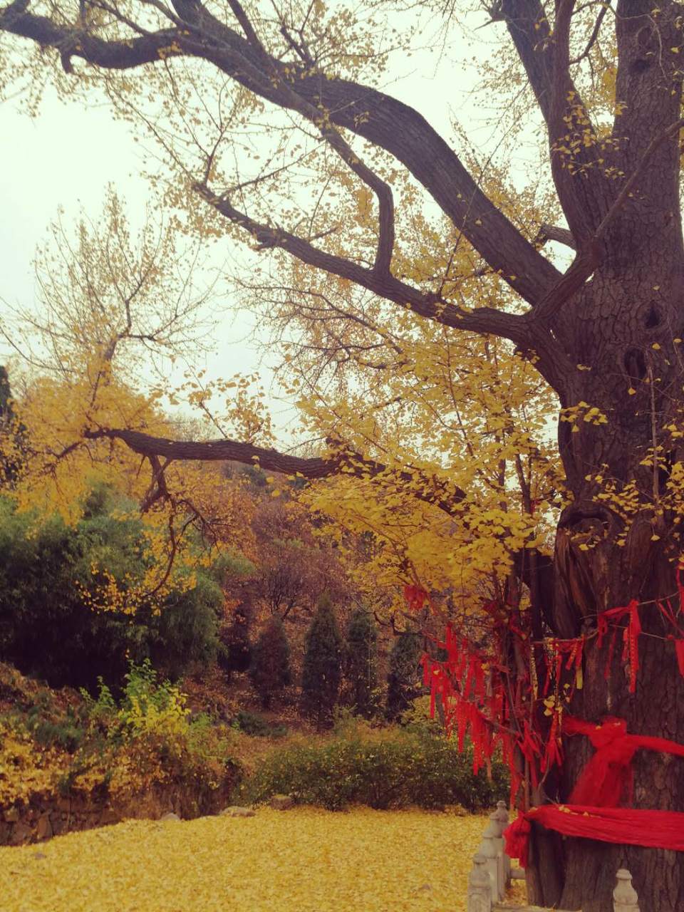 HKAs7mV9kmn3ys9cFtNHbLLdLtIZcxZmFkJs2KrYwlnN9WDwUWr6b21oEPCe_Zd0