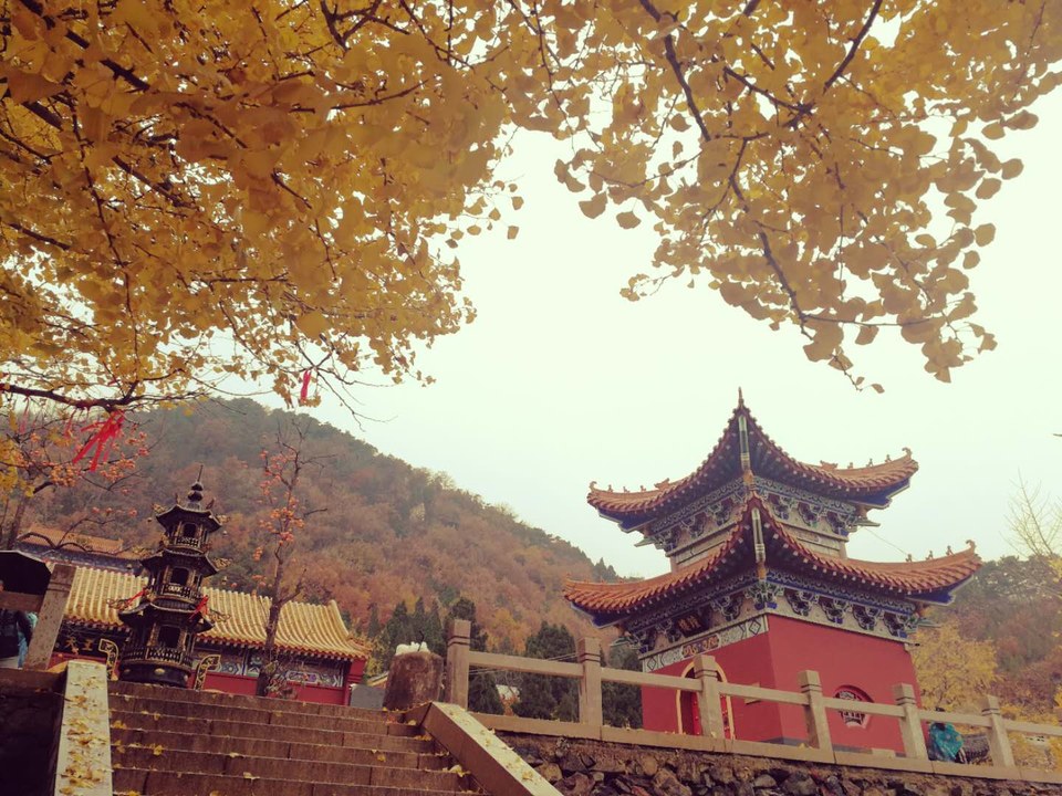 6CUeQnHB8KLVSD1l-GNQFLoPpegPZitDR-08fbTH1-885CGSdoapcFy4J4ZVuDHG