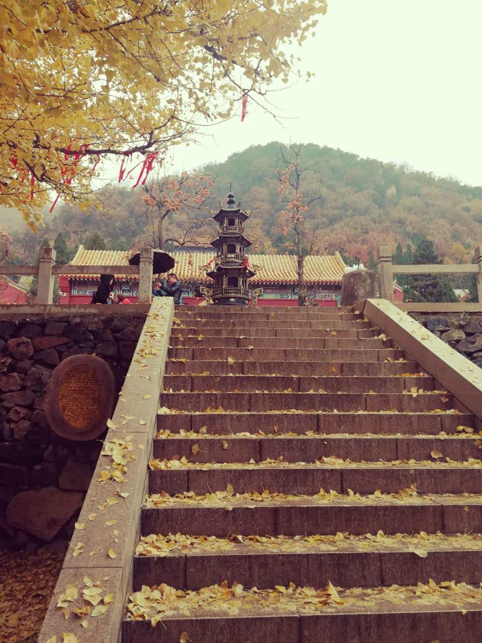 UEdMZFiNfi_L5NTVrx4e5anIVAt0mF0oJTt2d_g_mk9jZ-21eYyHEsvBH8Oputjd