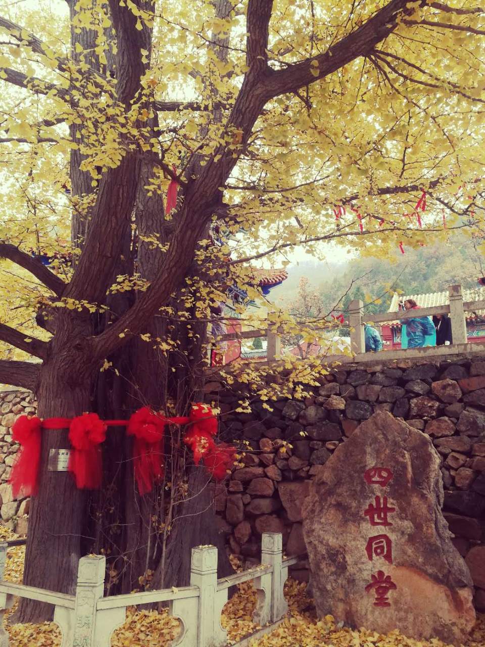 f5rR-AAU0Tz73kd2qe41Z_FBC5phUsr47AI4j7JTAC32bXLLHBLp21UBq6H4LkY3