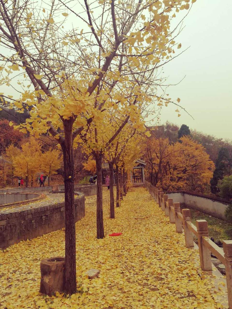 oKzggZD3DWgFnSye6d-netAHAt85ti-UYxVqr4Ehpcr78mV0iq-_QF82Z8ufMJMs