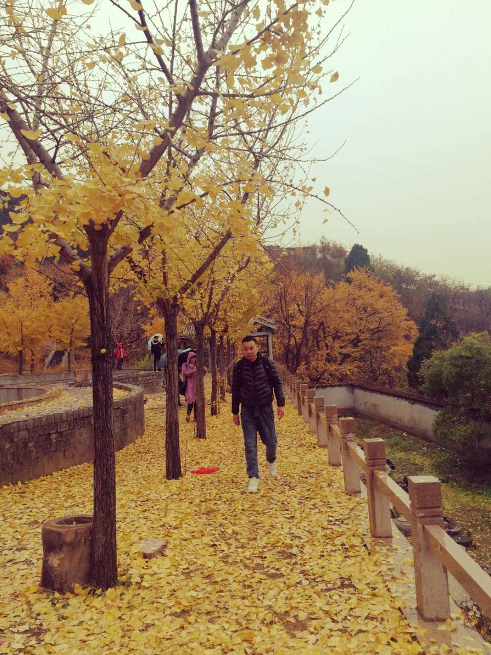 VfJWIFQarU3JdOBmU2IwLAN9M48r6EXPf1eTAUGUOv77ukw0zdnohwYKN4GWJsQa