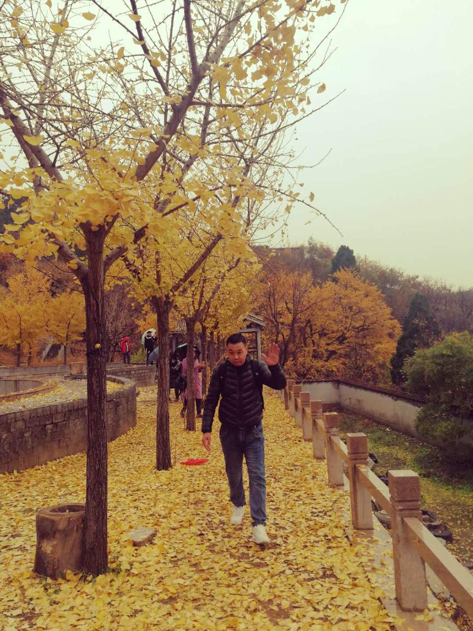 L0WxdMbd9PHz-33YL0duOd8UqqcWEhstP6McleWlQlc7OrKrO3wRgCh-R_4LawVG