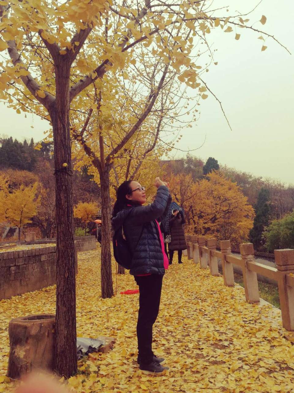 IfI91_d5rp-UZXZMXqbpEX2mSyE-EddcusY3XiJMRCNAviQRQ9EYPMjSPj1SpbZ4