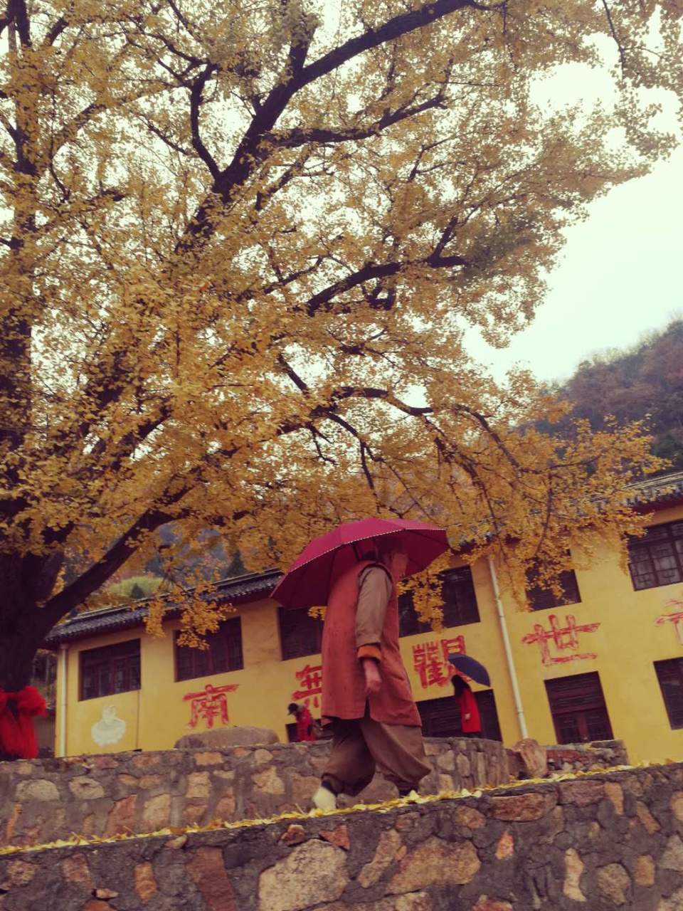 46-yofZXv_yBZMq8yItIrrDb4tyb3EGeahsnX6Z-ZOq62j-LBDT3dZUALN5mpomD