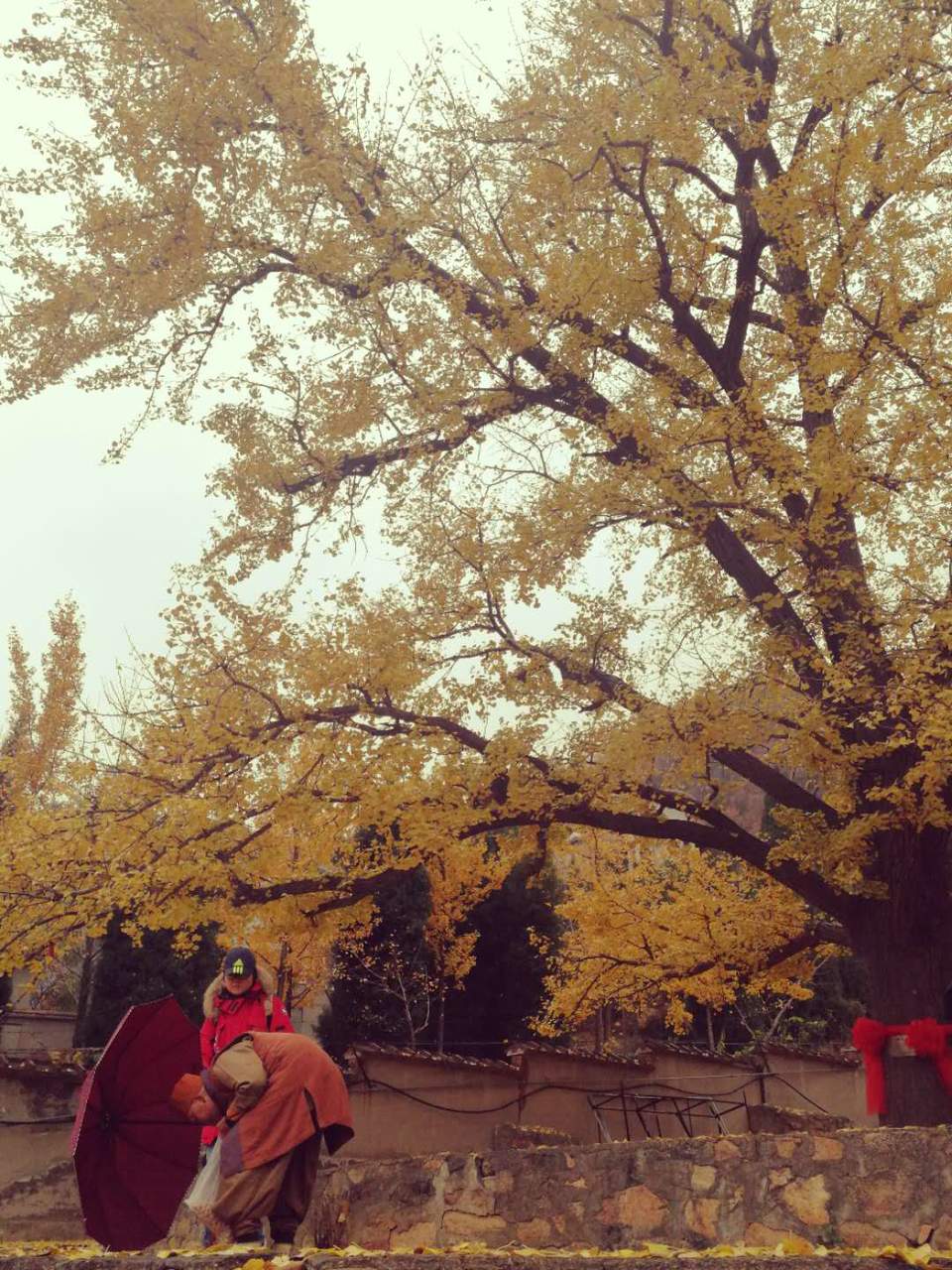 9QCR-4iUnEMDLV7w2OKfCrT6xj_pQcrvP3QMUXP4T4TXotmtd0Cd-56-_b_AGCvf