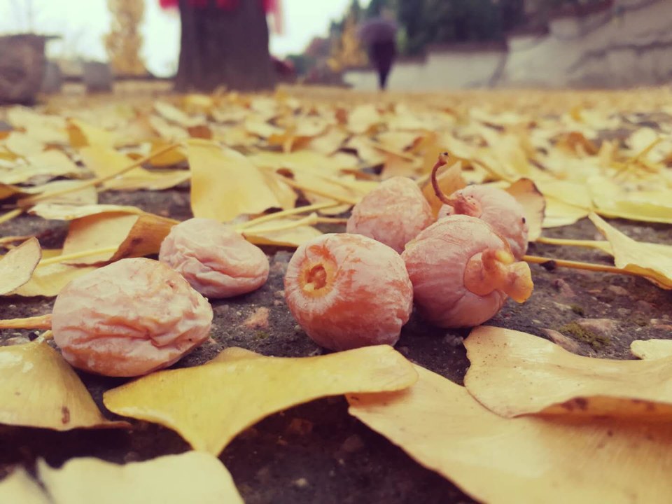 gVnRR4o_XztCC6JZpIrBrrnwIJEC-7dIXmghuVFyrqXuxYFWZGEJxJHt7-aKmpa6