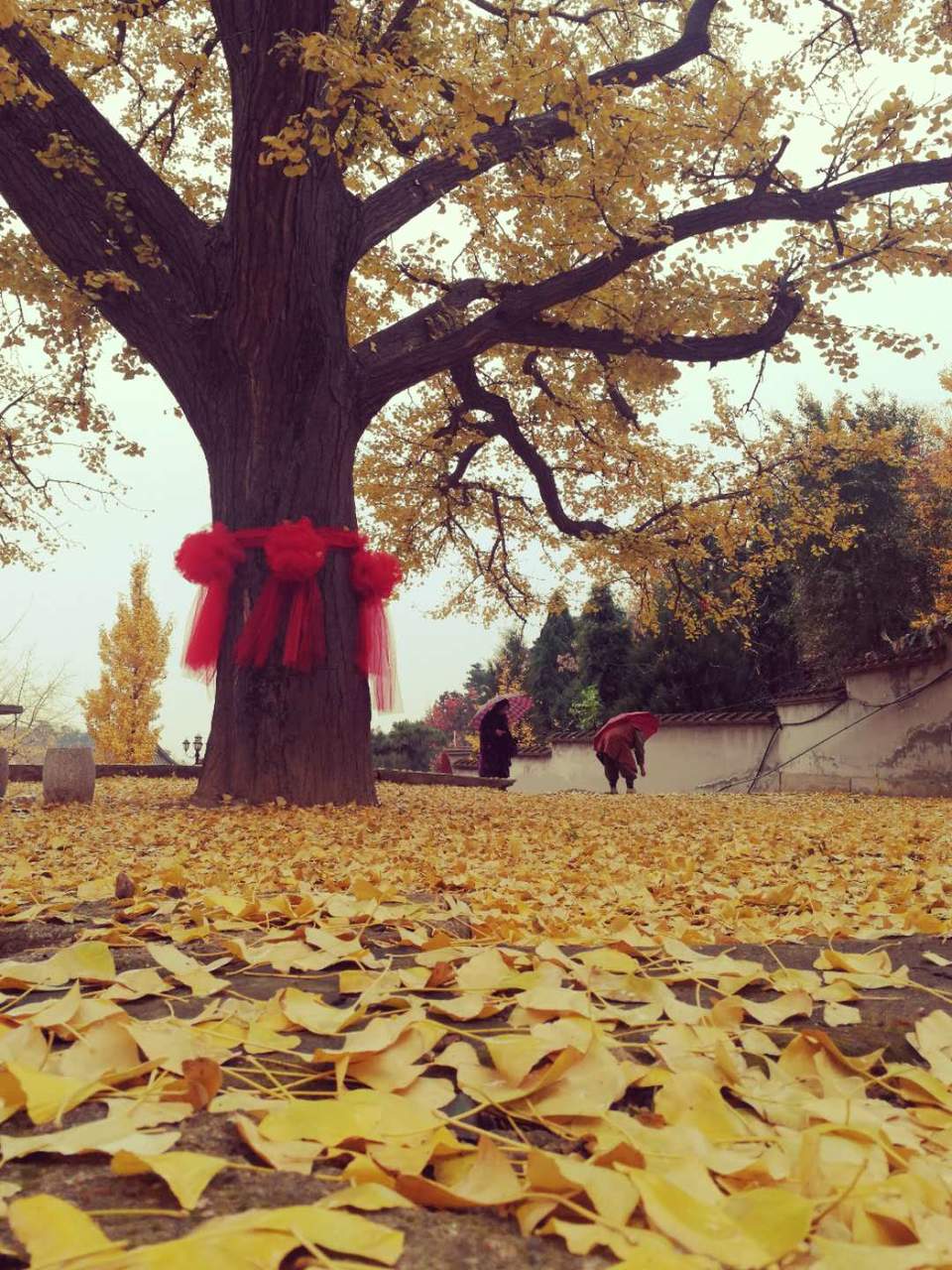 mqrVdhEwA64S_a6ruUhMjcGvhPkYUCsHI5AN6cq2b2C6Lqh5O5CI0LKk_EvwpcDH