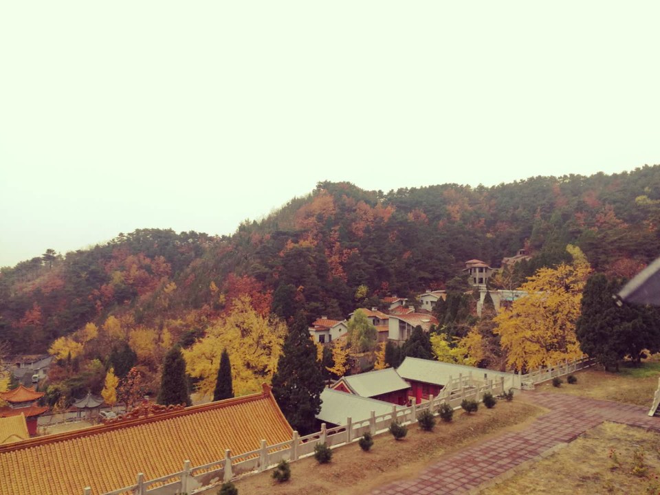 t74owuY-YKb04OgsQTN-eErPe6-zTbnDxOH83FAkbPWfm762Ou_edob6LVzOUlTc